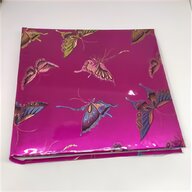 butterfly collection for sale