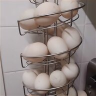 dutch bantam hatching eggs for sale