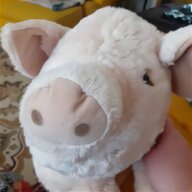 steiff pig for sale