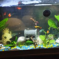 rena aquarium fish tank for sale