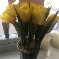 tulip vase for sale