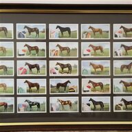 horse racing cigarette cards for sale