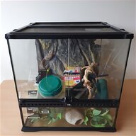 fish tank kit for sale