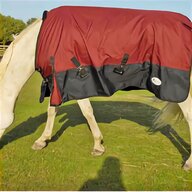 horseware lightweight turnout for sale