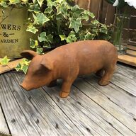 pig garden for sale