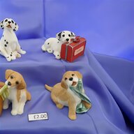 sherratt simpson dogs for sale for sale