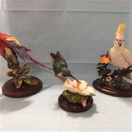 country artists birds for sale