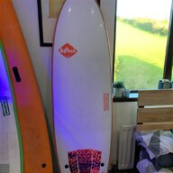 egg surfboard for sale