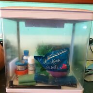 wall mounted fish tank for sale