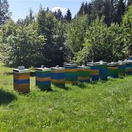 bee farm for sale