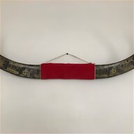 bison horns for sale