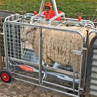 sheep weighing scales for sale