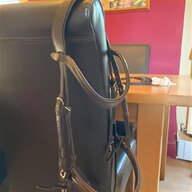 pony plain browband for sale