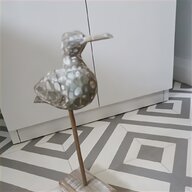 seagull bird for sale