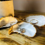 oyster shell for sale