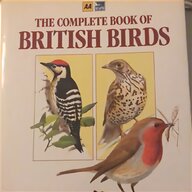 brooke bond tea cards british birds for sale