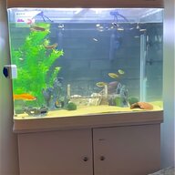 custom fish tanks for sale