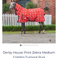 horse blanket for sale