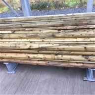 screening bamboo for sale