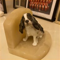 china spaniel dogs for sale