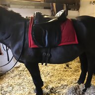 16 pony saddle for sale