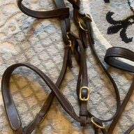 stallion bridle for sale