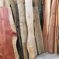beech timber for sale