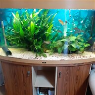 aquarium heater 300w for sale