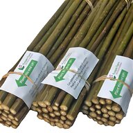 bamboo cuttings for sale