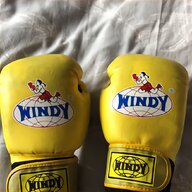 twins boxing gloves for sale