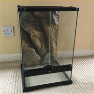 stick insect tank for sale