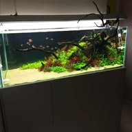 6ft tank for sale