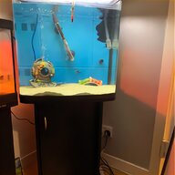 huge fish tank for sale