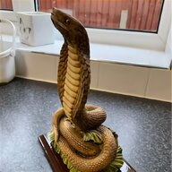 cobra snake for sale