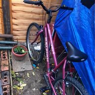 raleigh bikes for sale