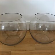bowl terrarium for sale