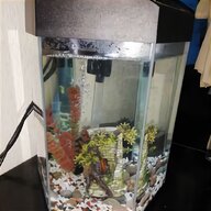wreck aquarium for sale