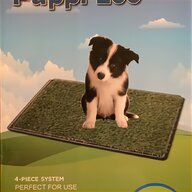 puppy loo for sale