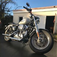 harley softail for sale
