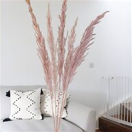 coral feathers for sale