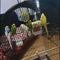 budgie cage fronts for sale