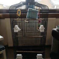 bird cages for sale