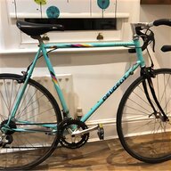 raleigh europa for sale