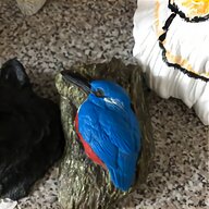 kingfisher bird for sale