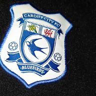 cardiff city jacket for sale