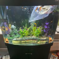 boyu aquarium for sale