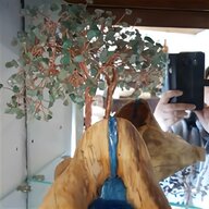 bonsai display stand for sale