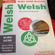 welsh language for sale