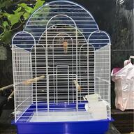 finch for sale