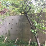 climbing wall for sale